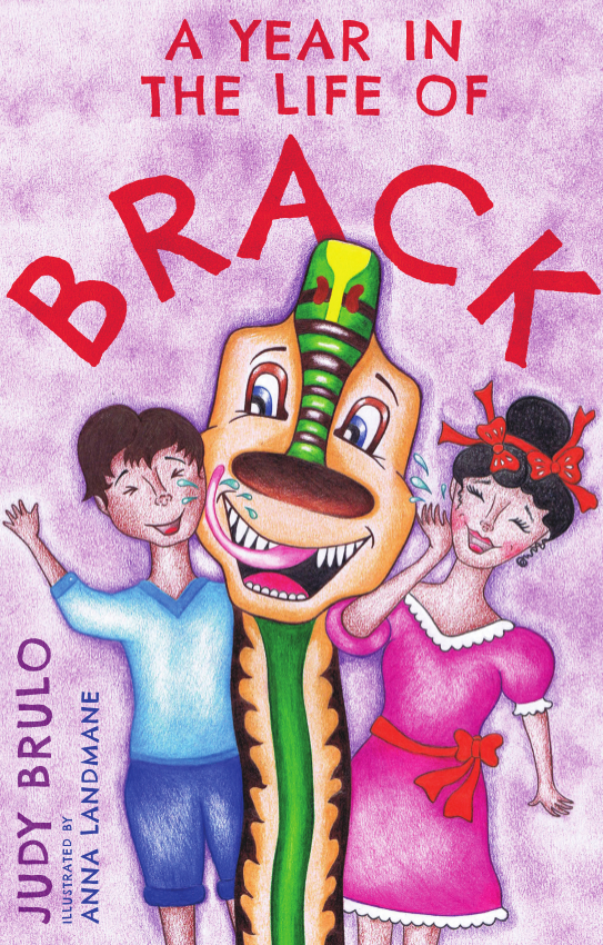 A Year in the Life of Brack (pub. Matador 2017)