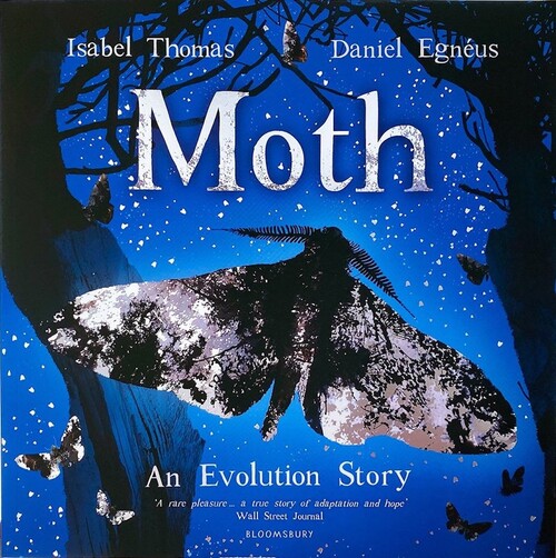 Moth: An Evolution Story 